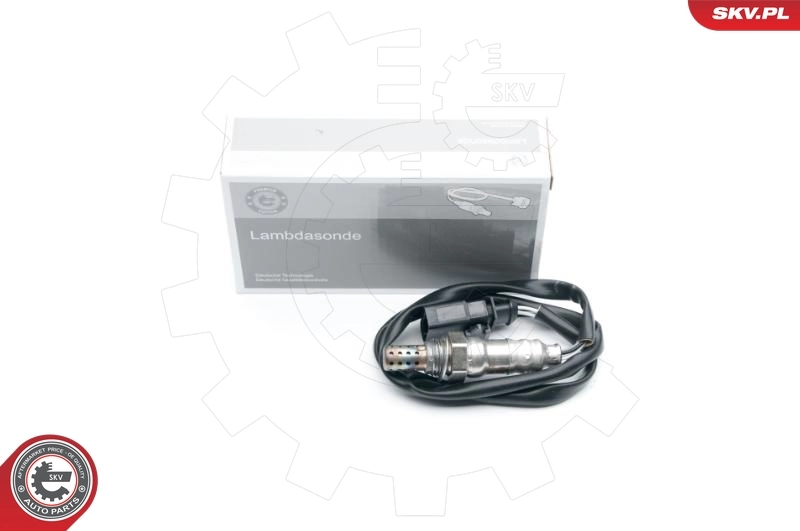 Oxygen Sensor